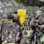 How Forests Think - Image 9