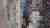 Stochastic Neighbors - Image 7